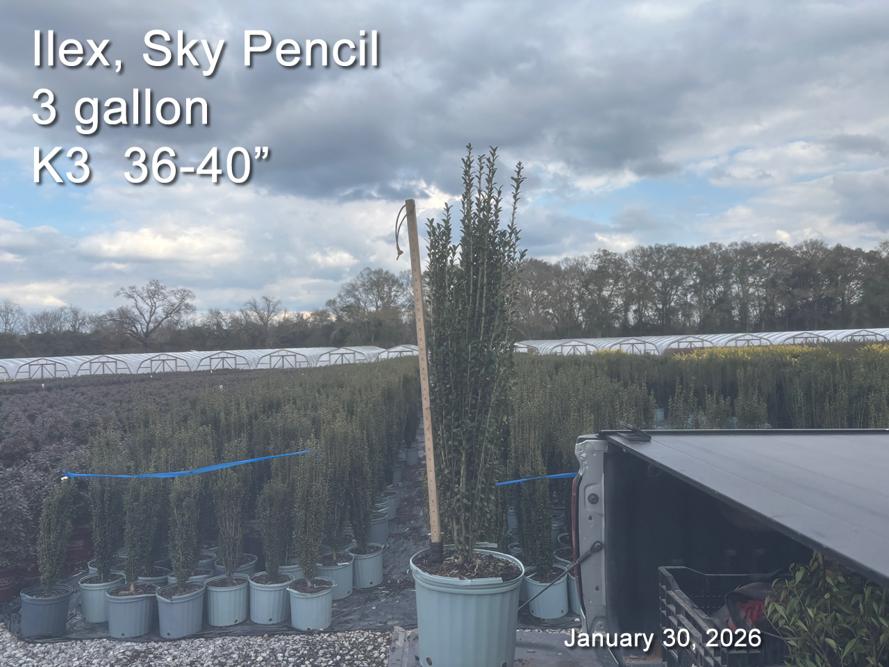 gallery/sky3 k3 jan30.jpg